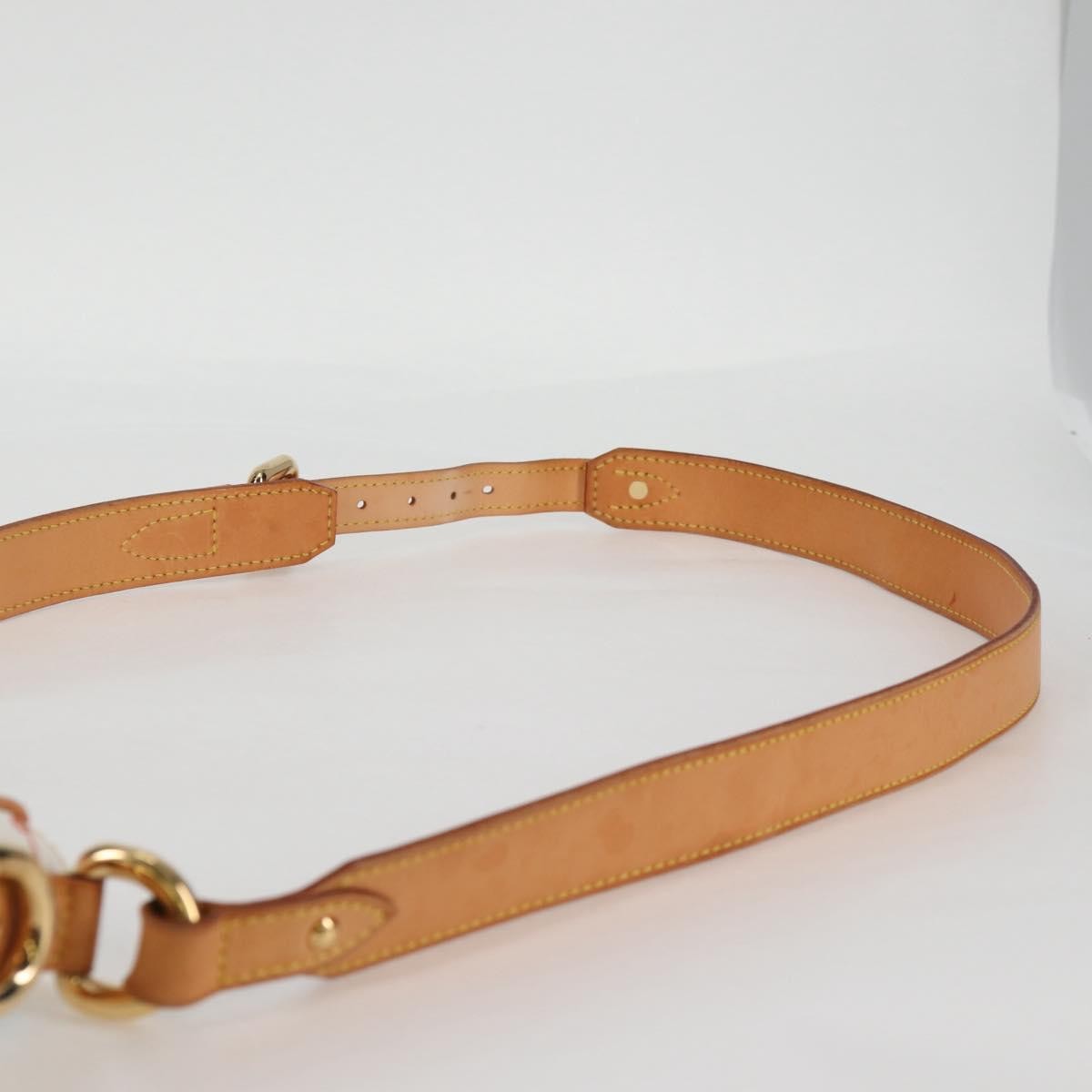 Louis Vuitton Lodge Handbag Monogram Multicolor