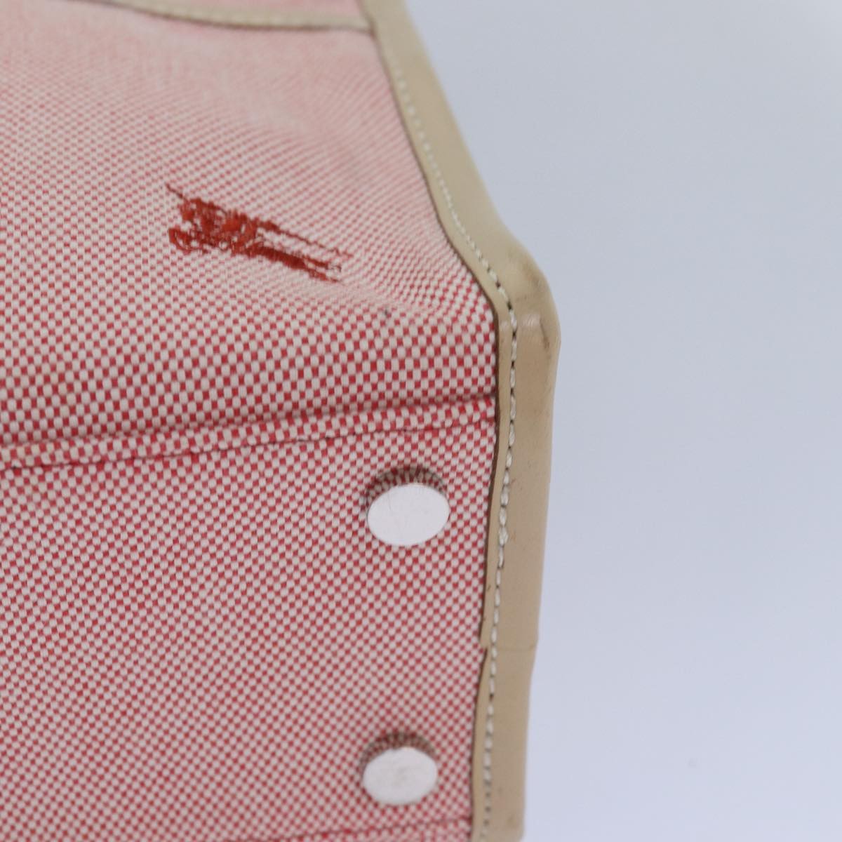 Burberry Blue Label Handbag Canvas