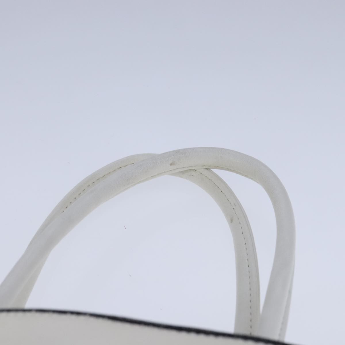 Burberry Blue Label Handbag Canvas