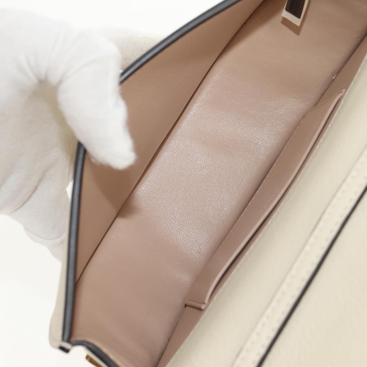 Chloe Nile Minaudière Leather