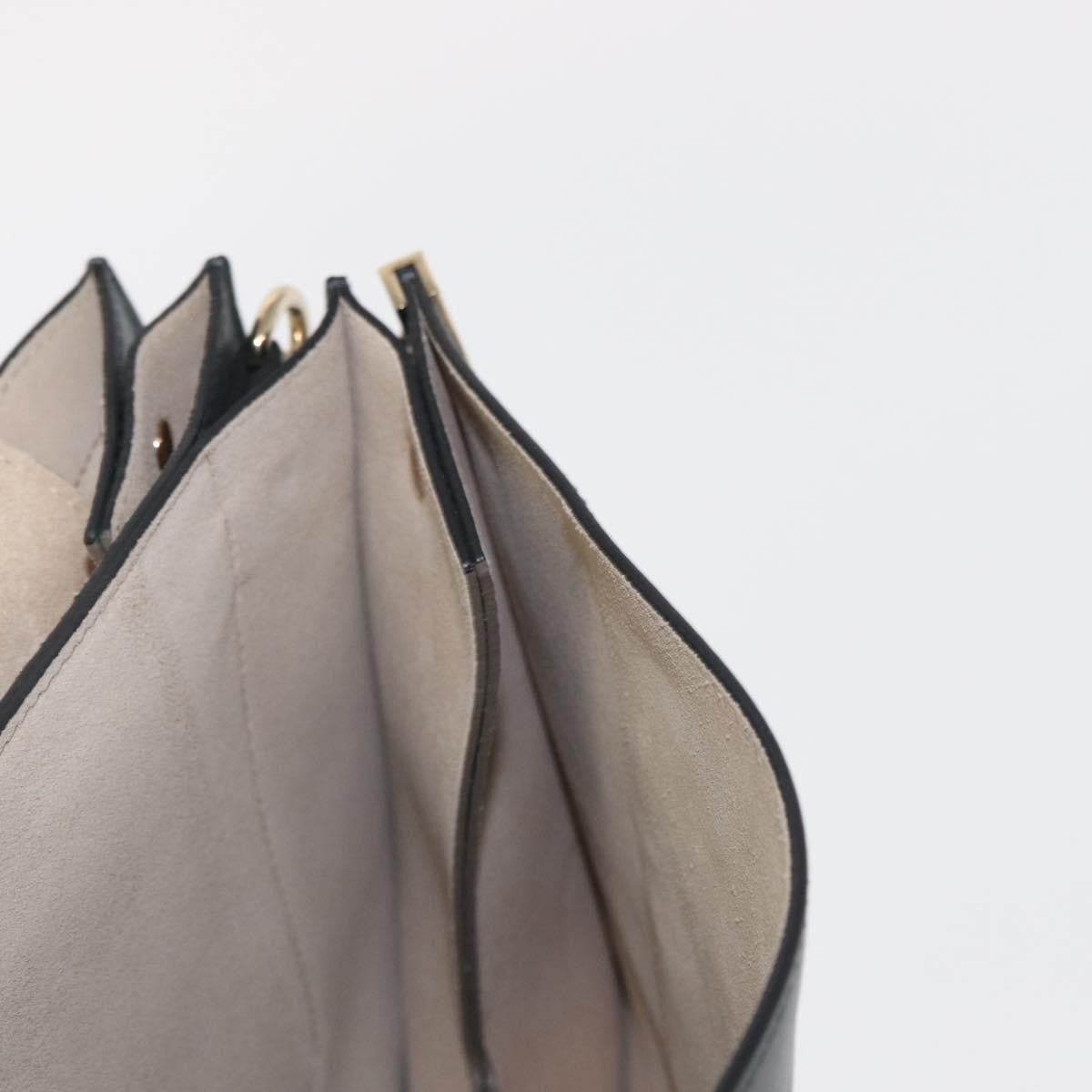 Chloe Faye Shoulder Bag Leather and Suede