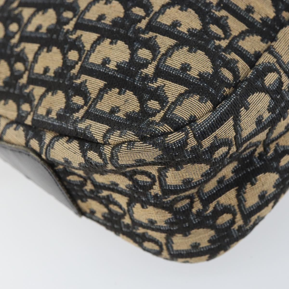 Christian Dior Vintage CD Trotter Handbag Canvas