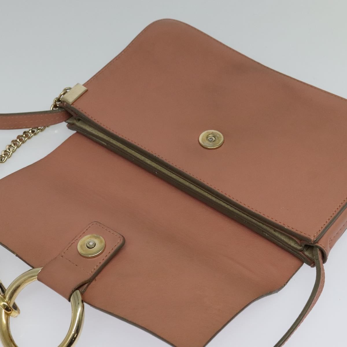 Chloe Faye Crossbody Leather and Suede