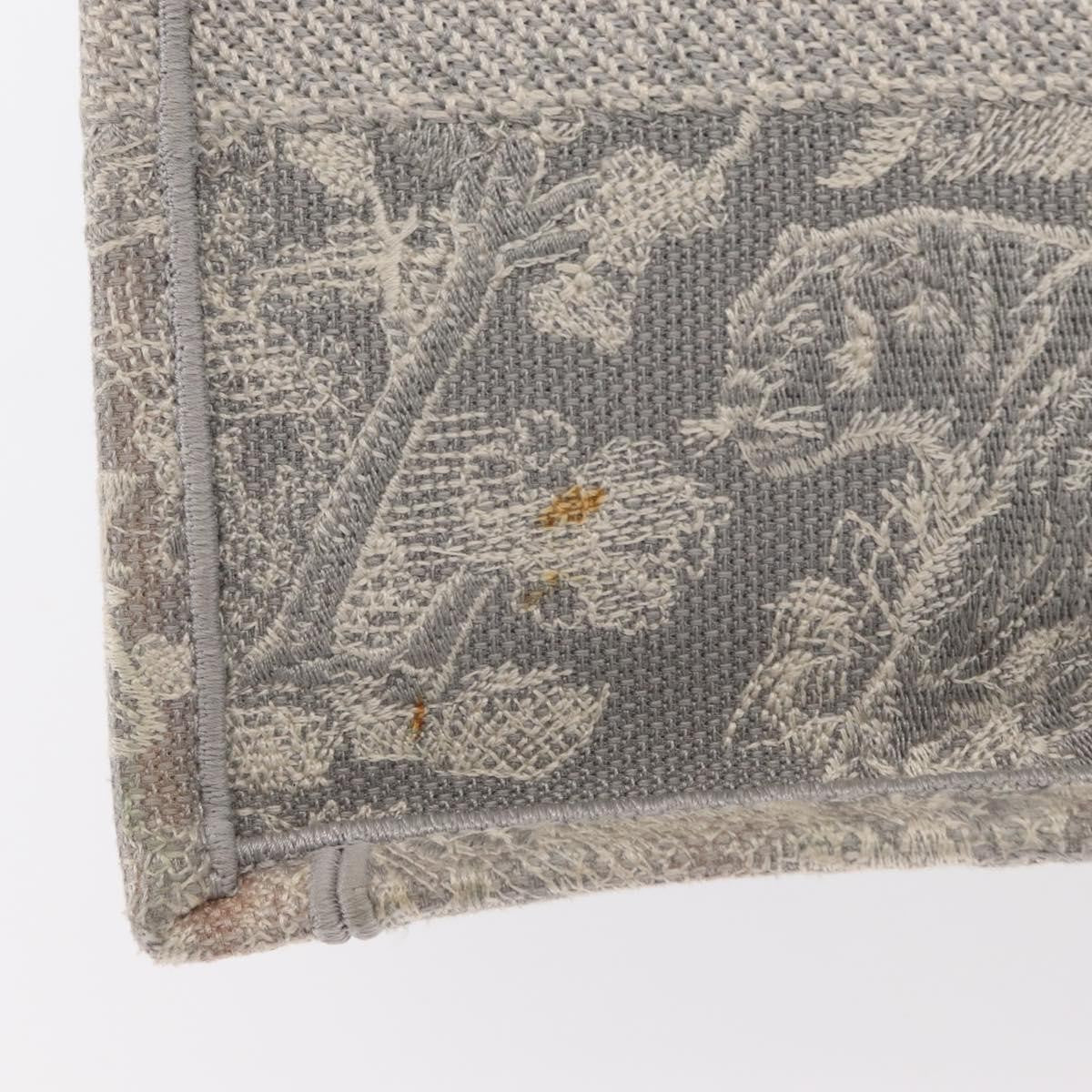 Christian Dior Book Tote Printed Canvas