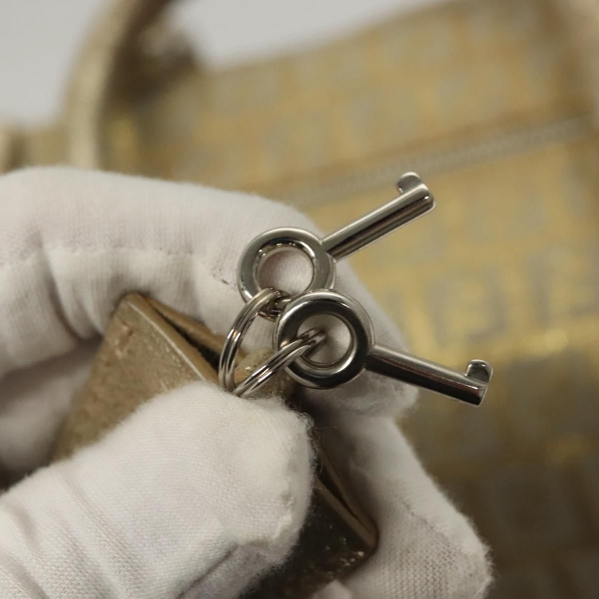 Fendi Boston Bag Zucchino Lurex Canvas