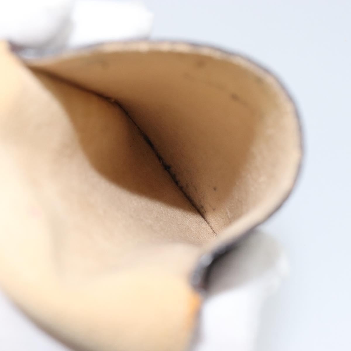 Louis Vuitton Etui à lunette Canvas