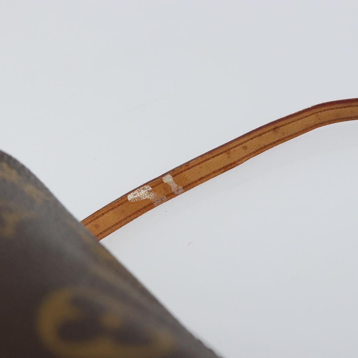 Louis Vuitton Papillon Pochette Monogram Canvas