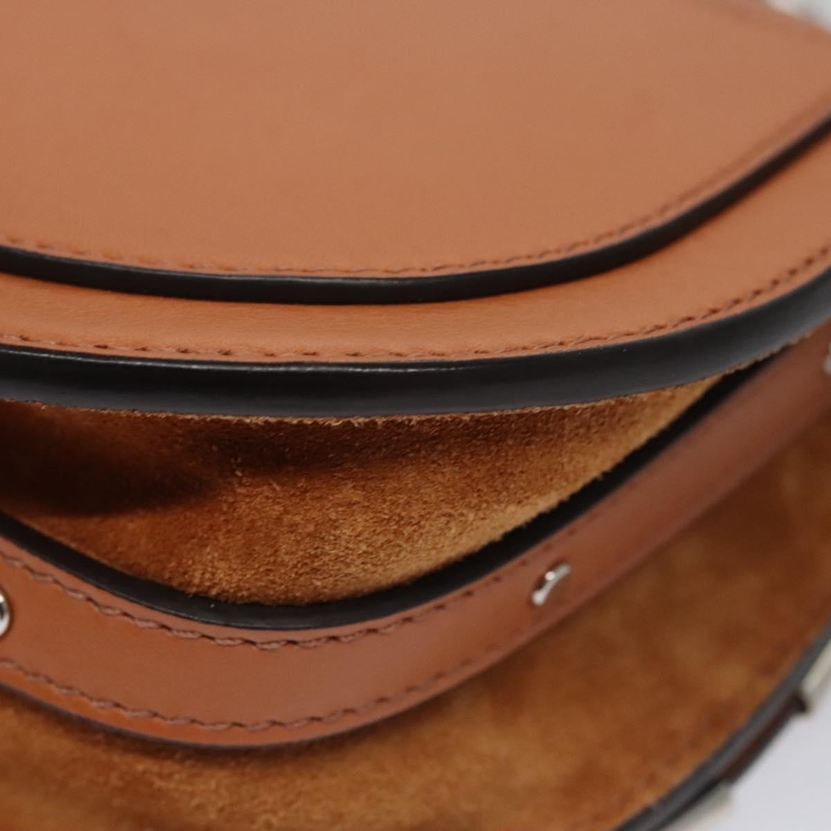 Chloe Nile Crossbody Bag Mirror Leather