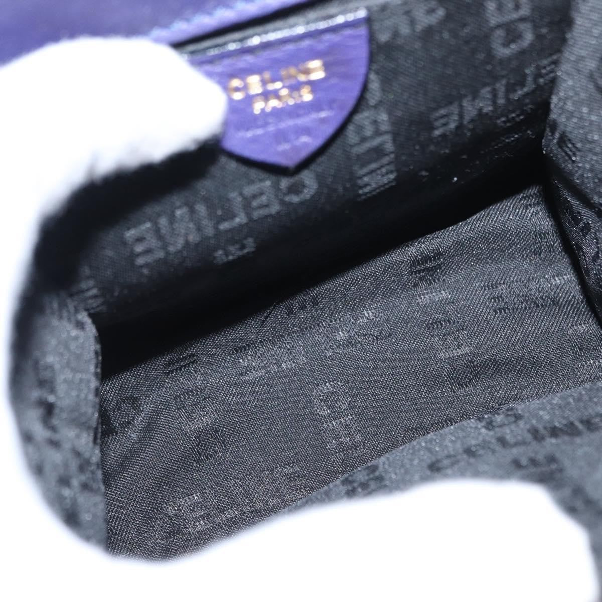 Celine Handbag Suede