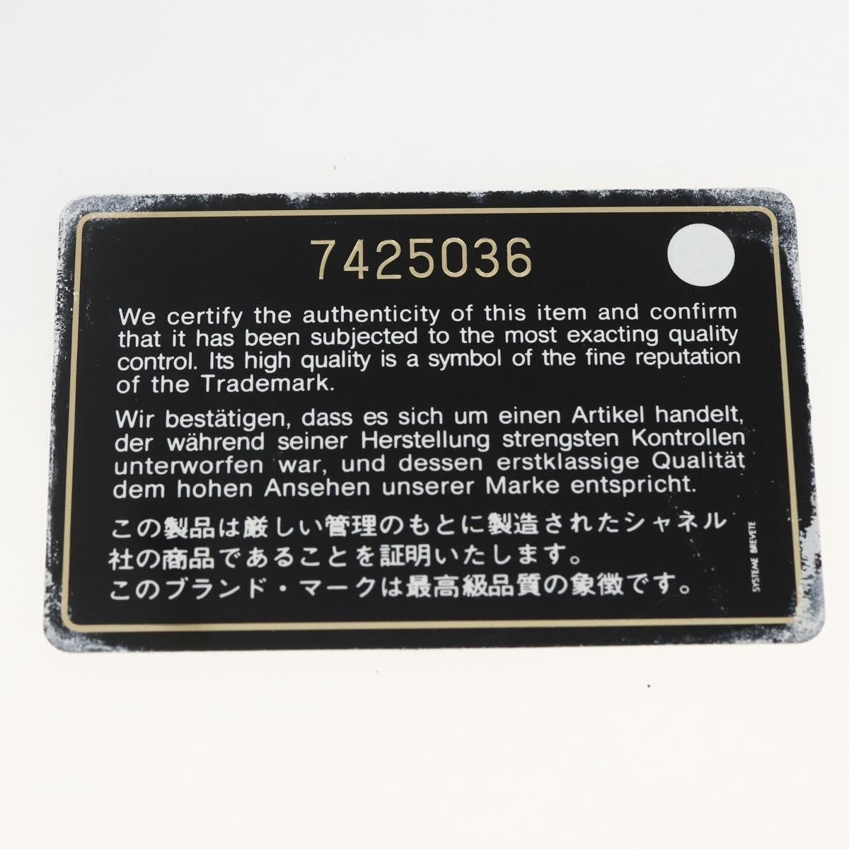 Chanel 31 Rue Cambon Beach Zip Tote Printed Canvas