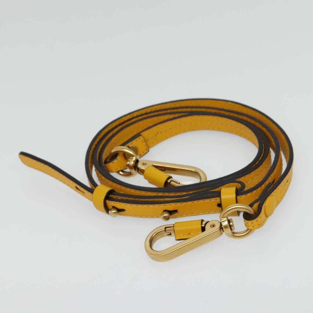 Chloe Nile Crossbody Bag Leather