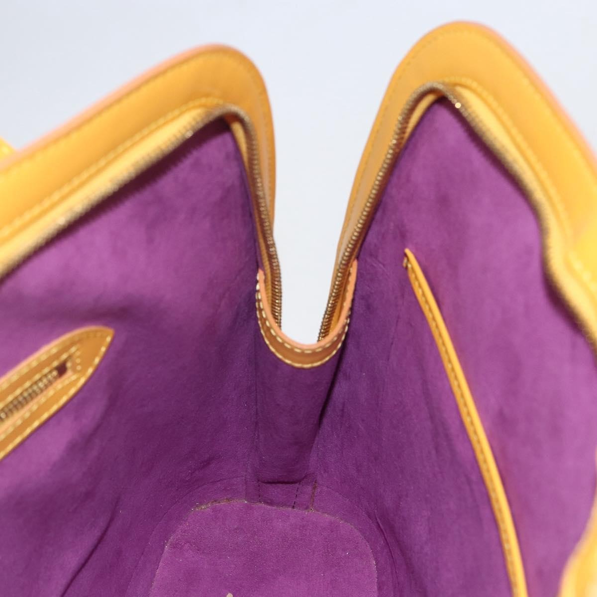 Louis Vuitton Lussac Handbag Epi Leather