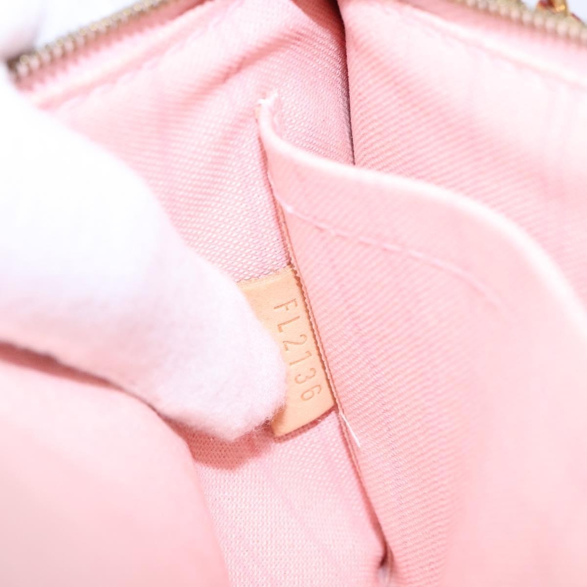 Louis Vuitton Neverfull Pochette Damier