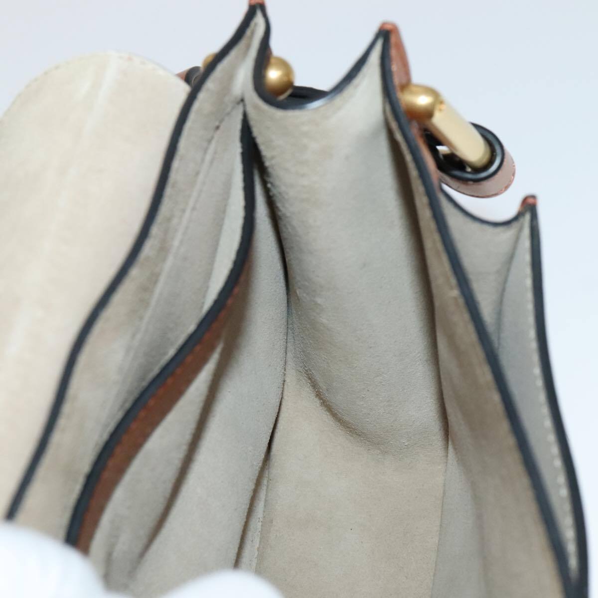 Chloe Multicolor Fringe Hudson Bag Leather