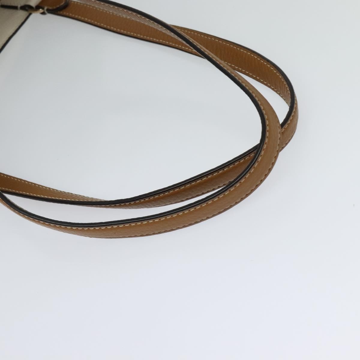 coach Handbag sling