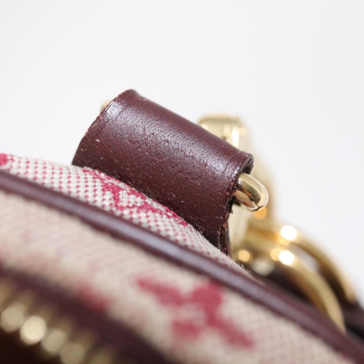 Louis Vuitton Camera Bag Mini Lin