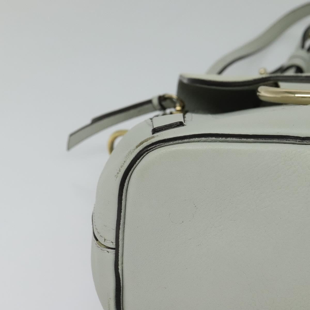 Chloe Faye Backpack Leather and Suede