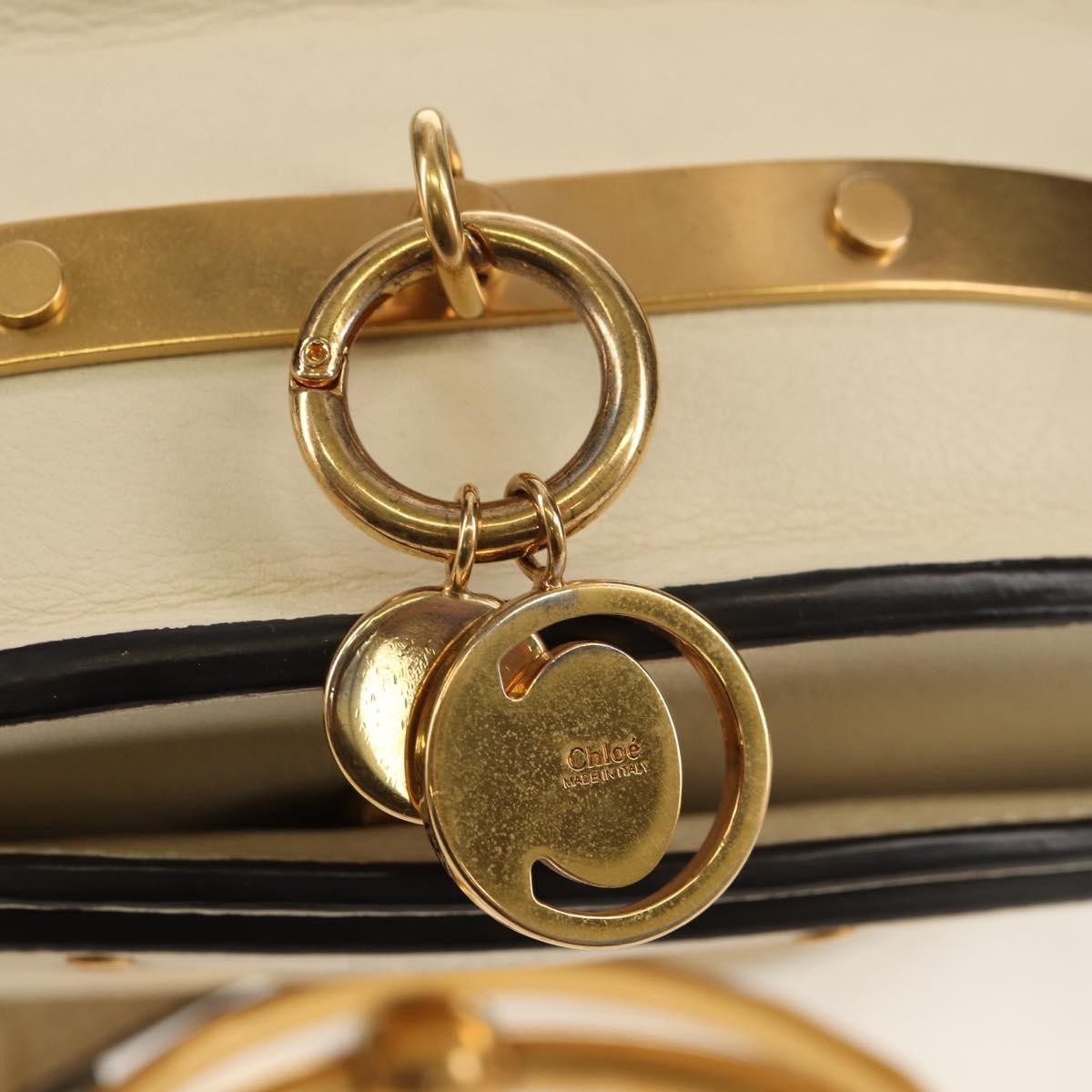 Chloe Nile Minaudière Leather