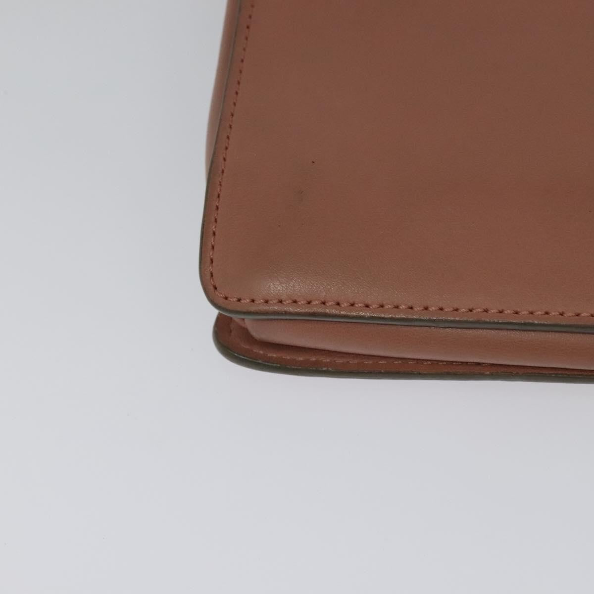 Chloe Faye Crossbody Leather and Suede