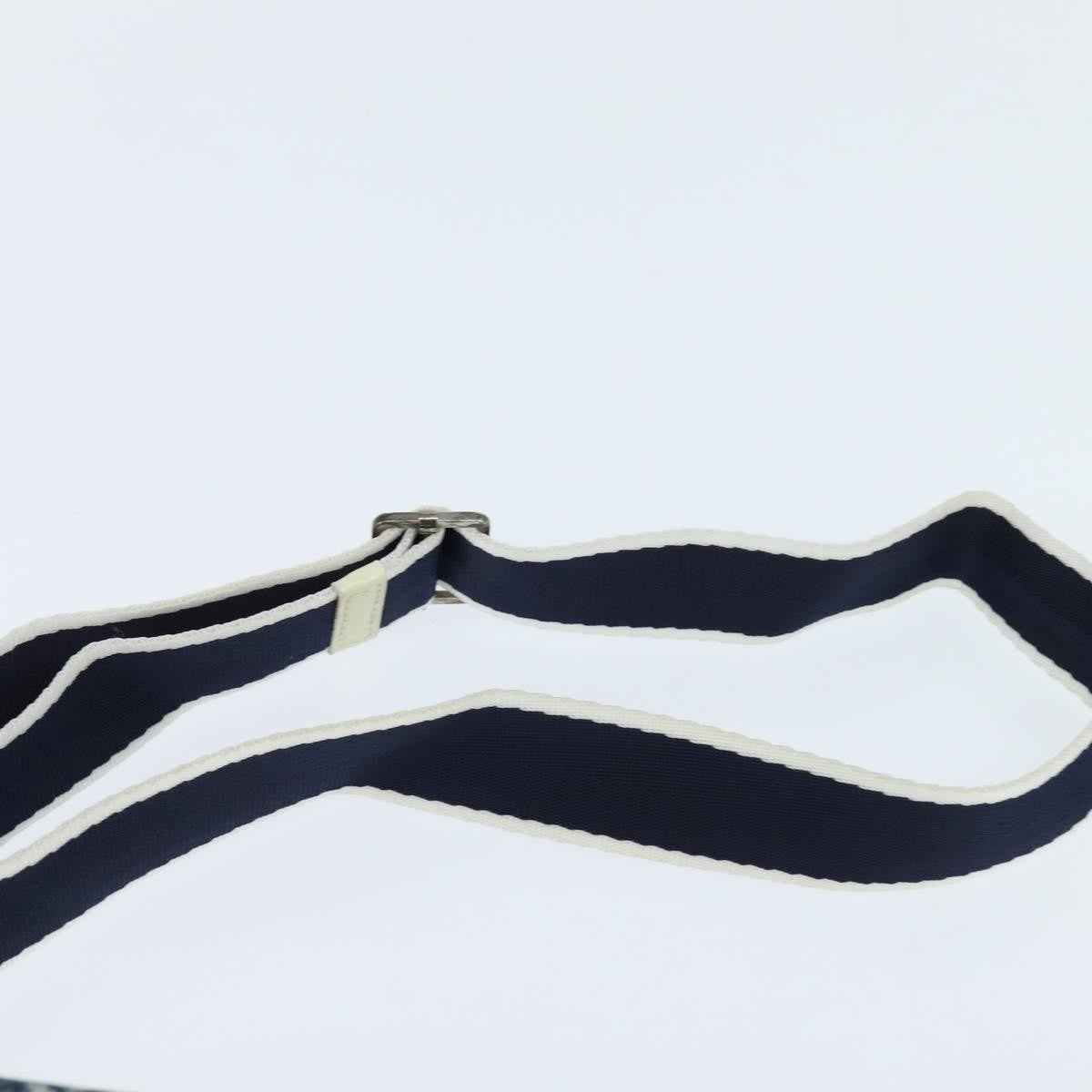 Christian Dior Trotter shoulder bag Canvas