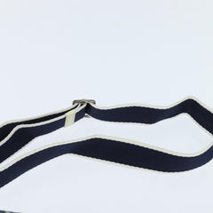 Christian Dior Trotter shoulder bag Canvas