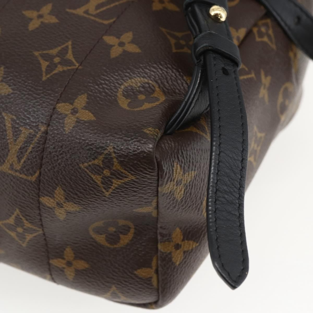 Louis Vuitton Palm Springs Backpack Monogram Canvas