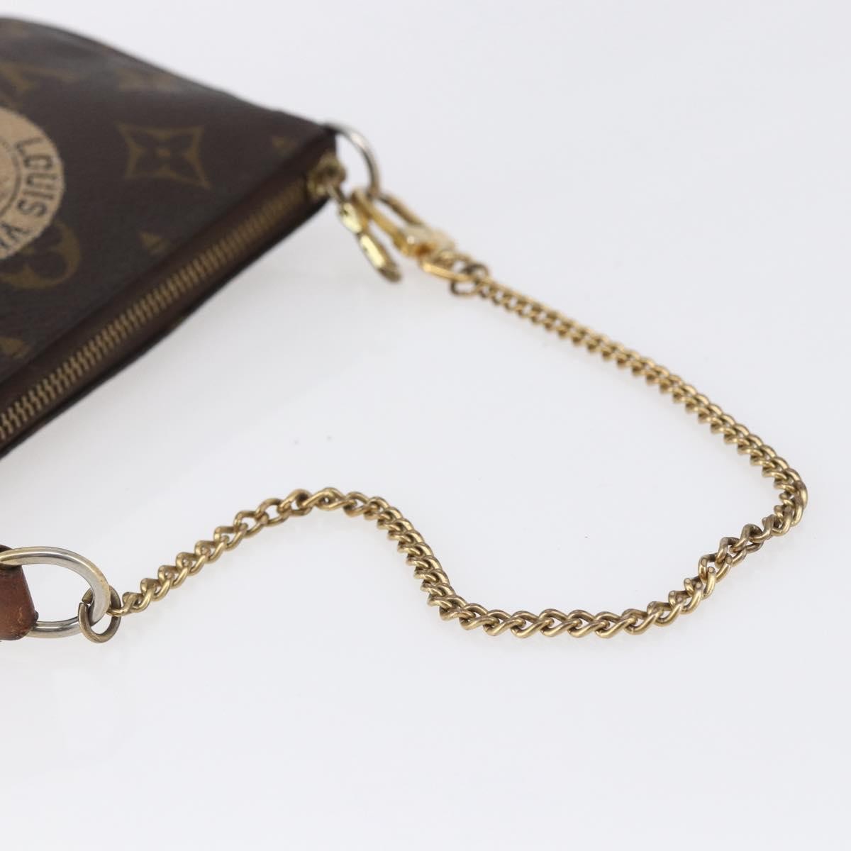 Louis Vuitton Pochette Accessoires Limited Edition Monogram Canvas