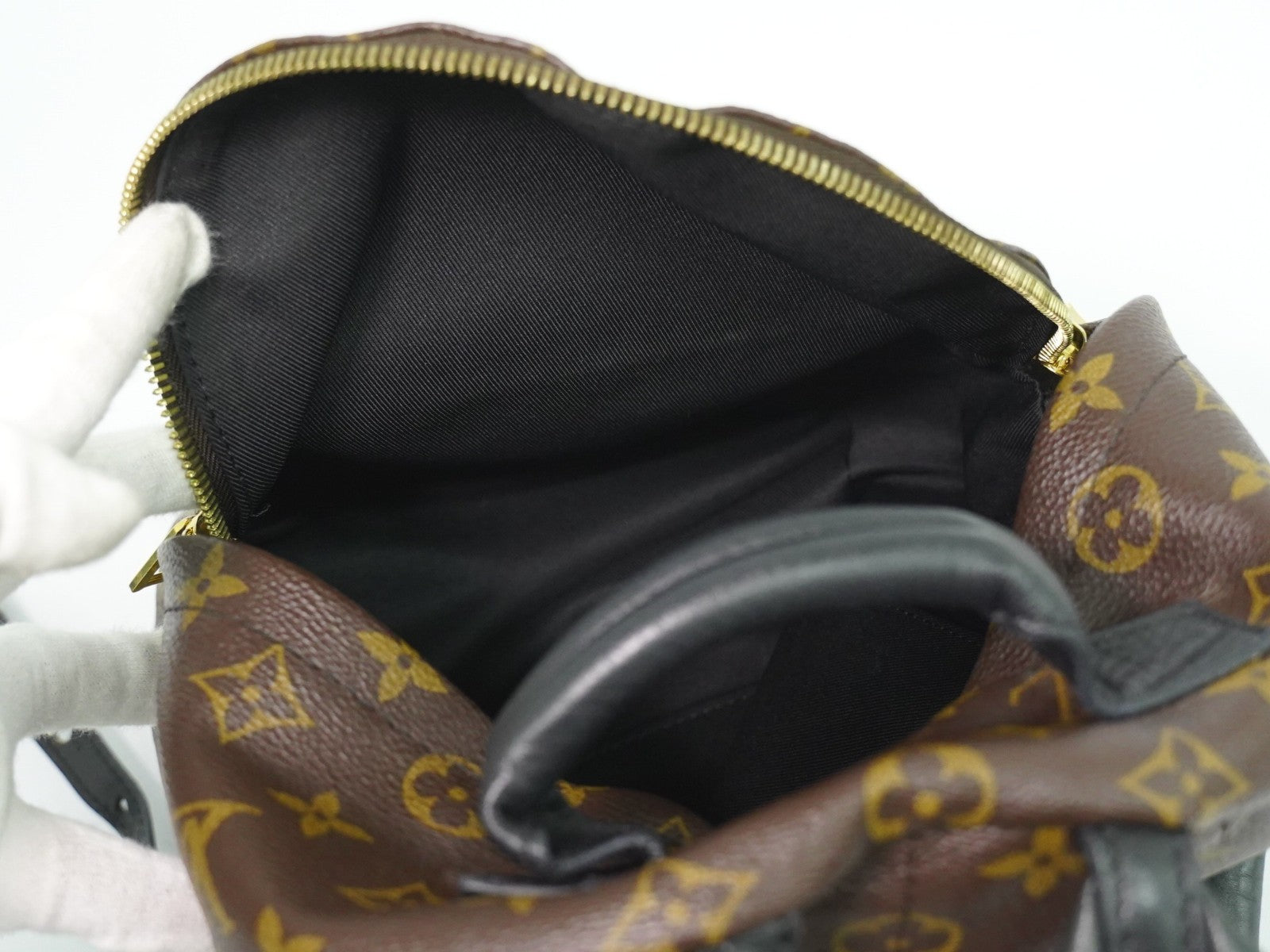 Louis Vuitton Palm Springs Backpack Monogram Canvas