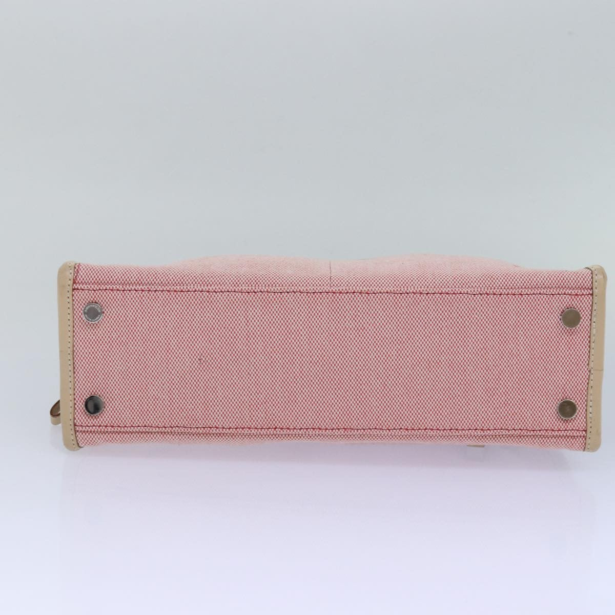 Burberry Blue Label Handbag Canvas