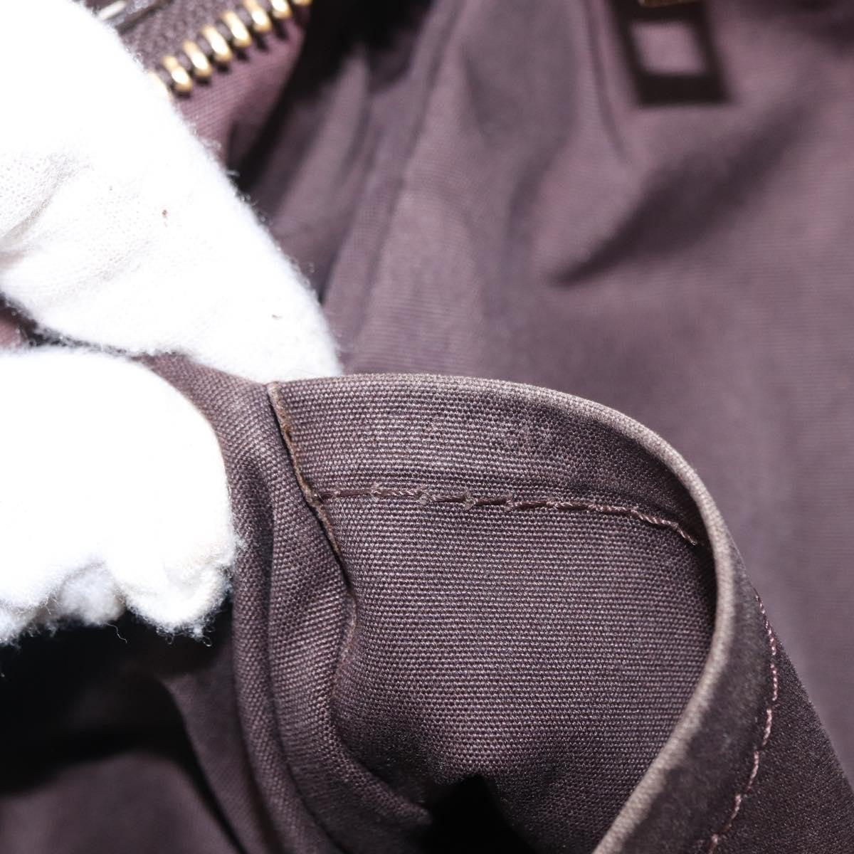 Louis Vuitton Elegie Handbag Monogram Idylle