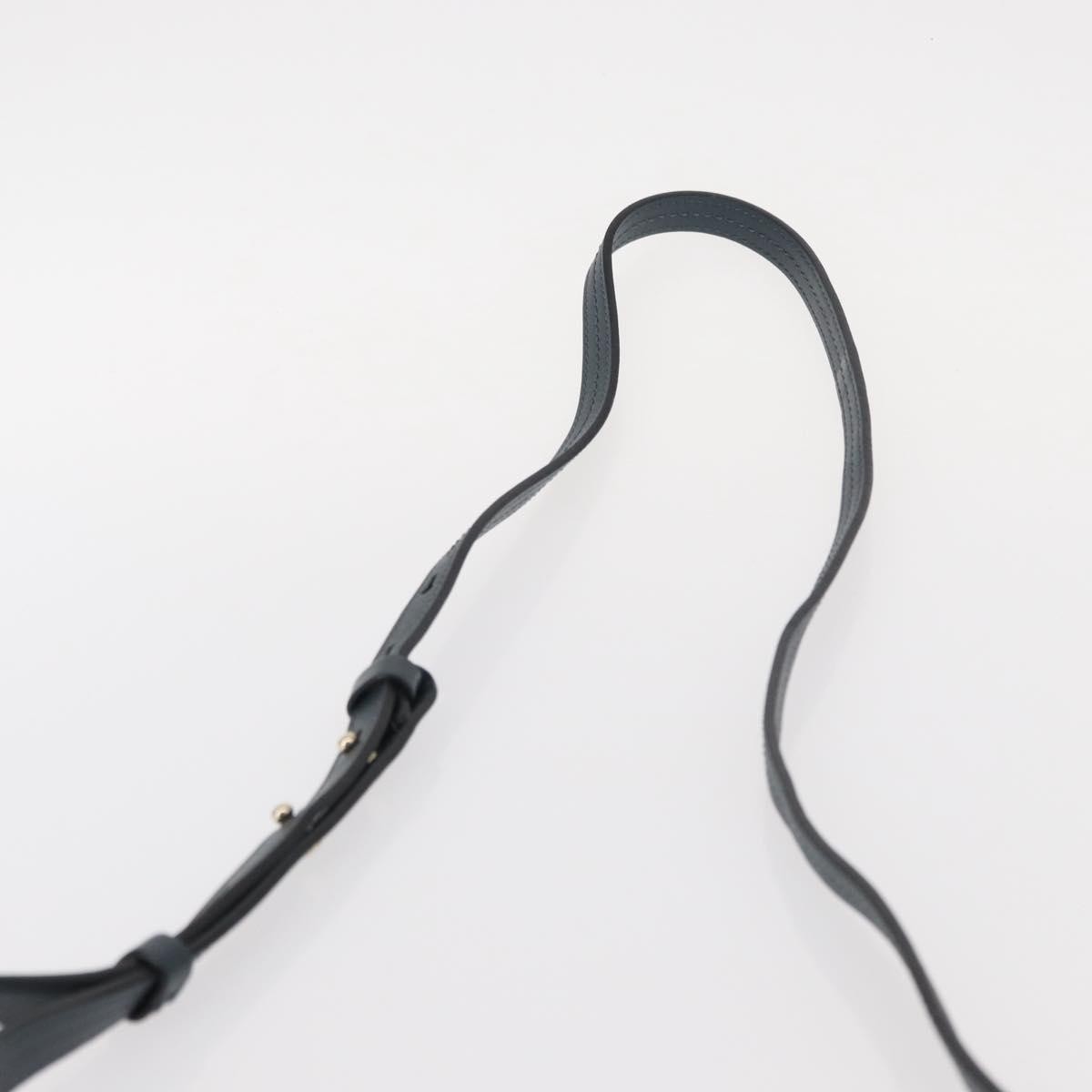 Chloe Faye Shoulder Bag Leather and Suede