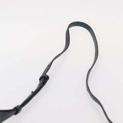 Chloe Faye Shoulder Bag Leather and Suede