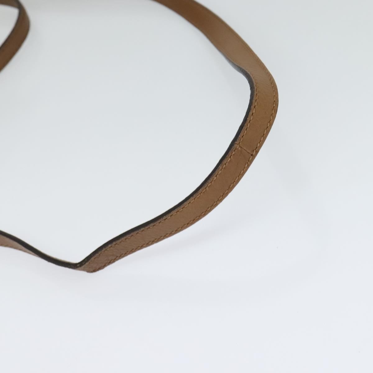 Chloe Elsie Satchel Leather