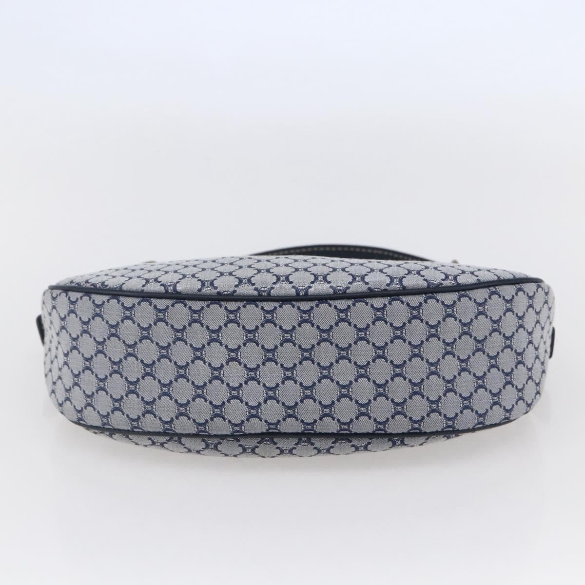 Celine Ava Bag Triomphe Canvas