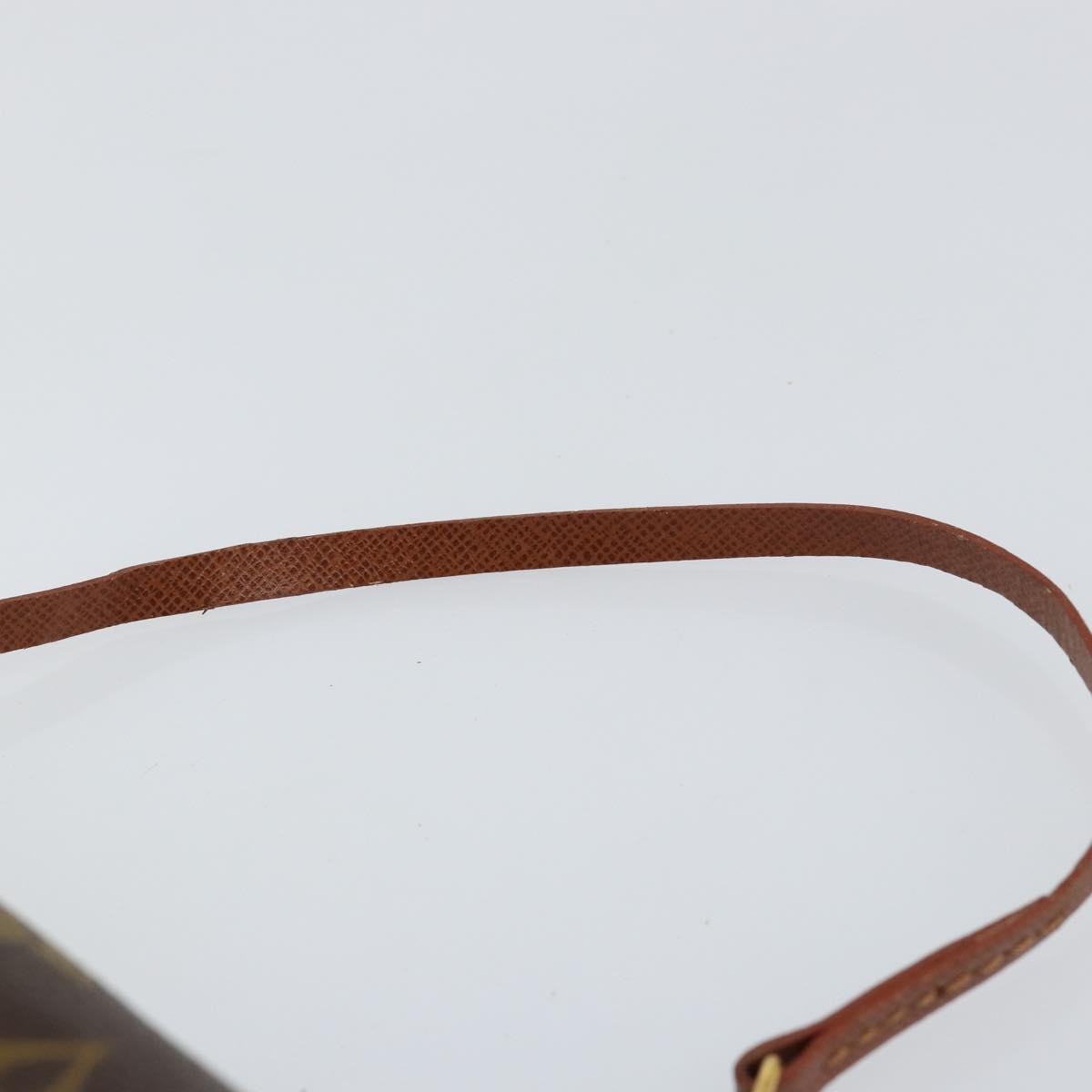 Louis Vuitton Papillon Pochette Monogram Canvas