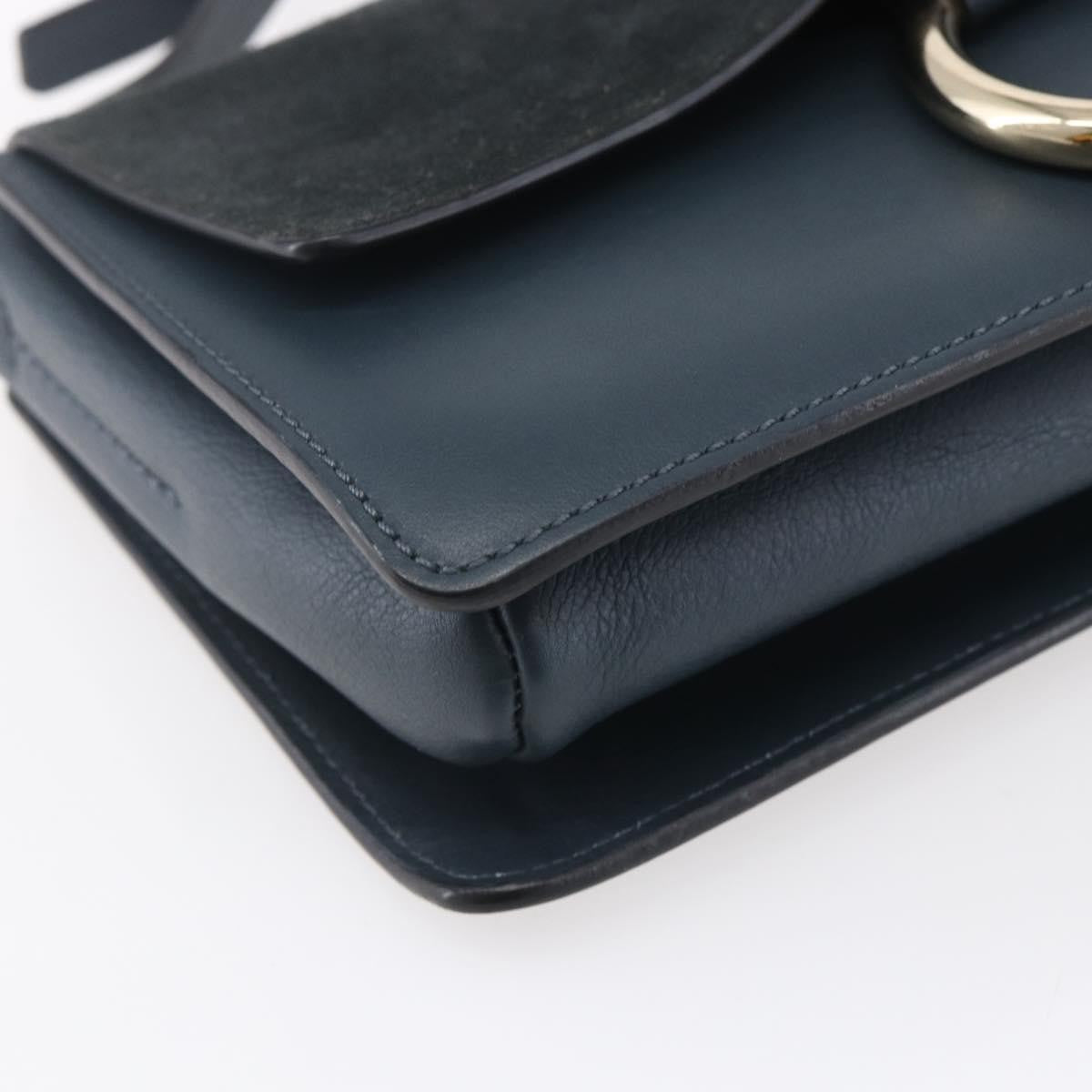 Chloe Faye Shoulder Bag Leather and Suede