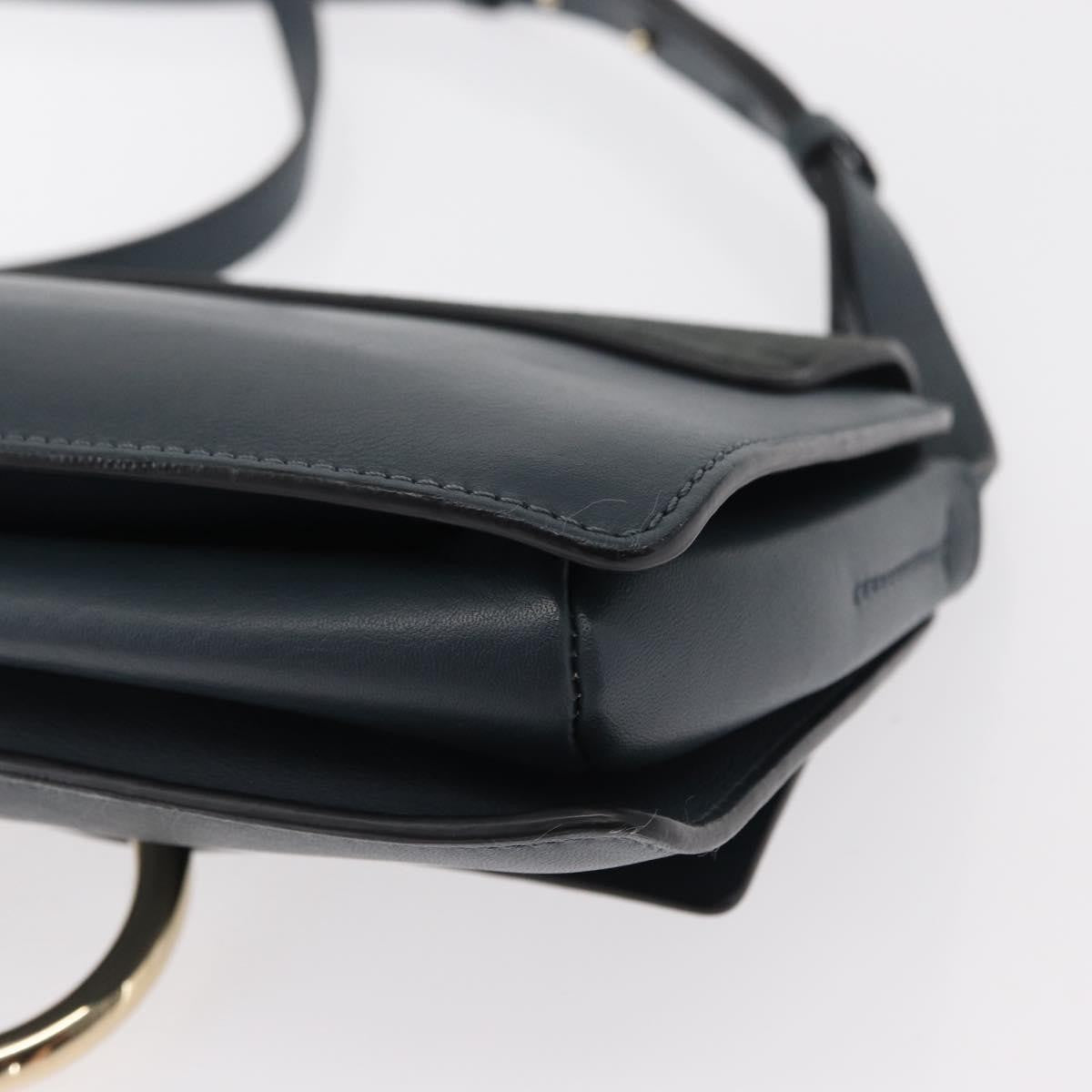 Chloe Faye Shoulder Bag Leather and Suede