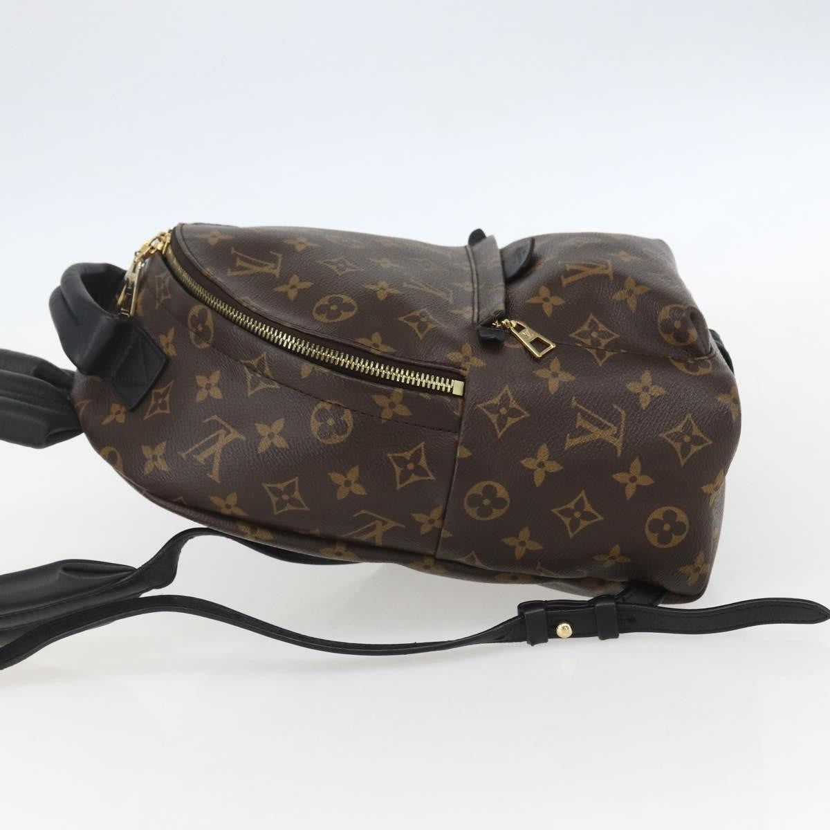 Louis Vuitton Palm Springs Backpack Monogram Canvas