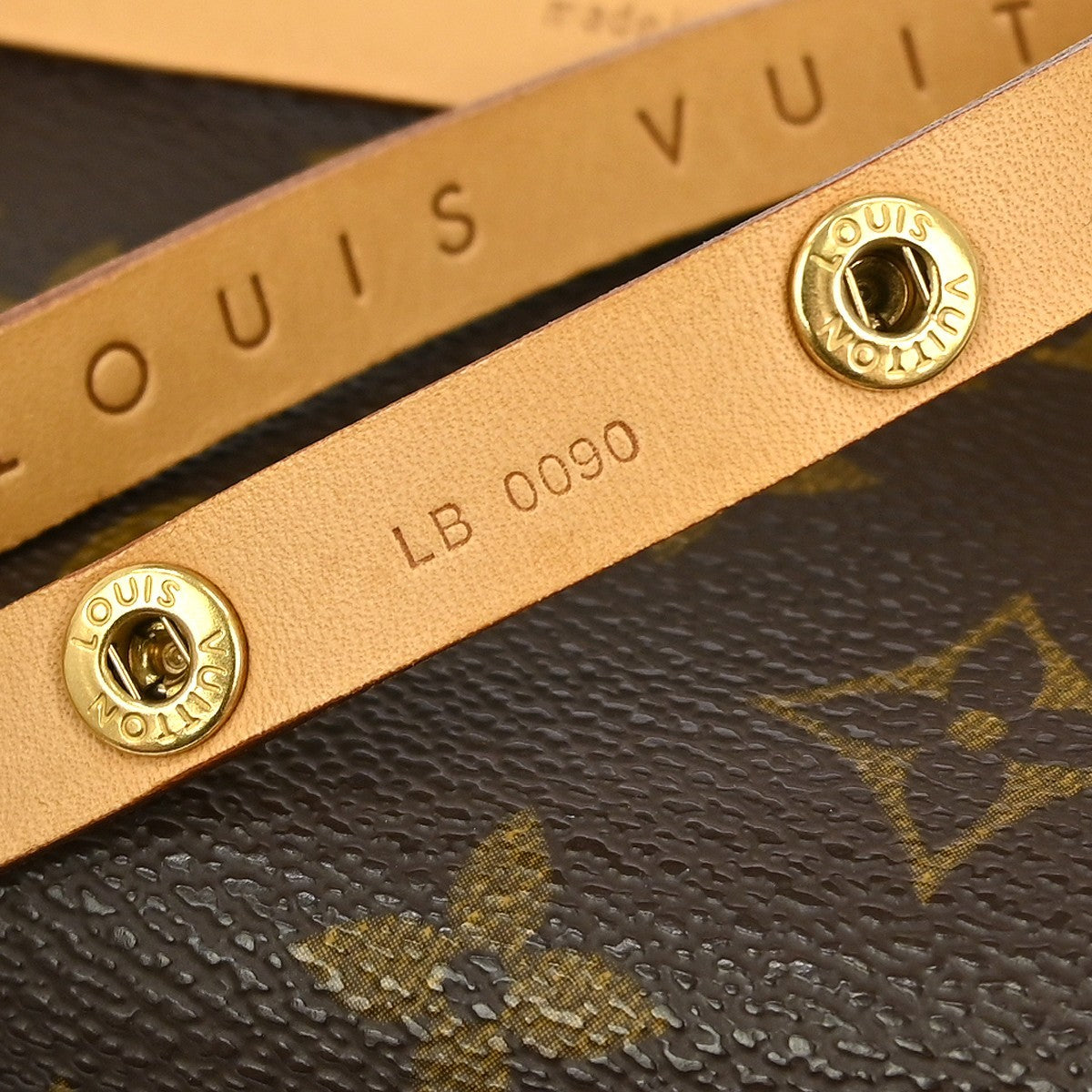 Louis Vuitton Florentine Waist Bag Monogram Canvas