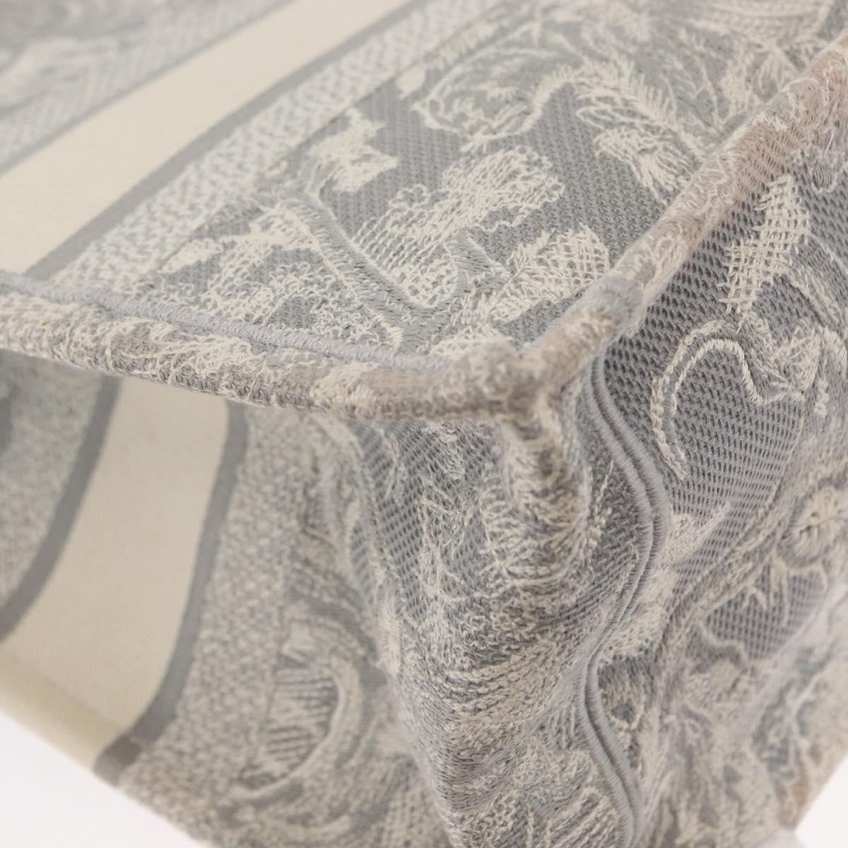 Christian Dior Book Tote Printed Canvas