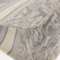 Christian Dior Book Tote Printed Canvas