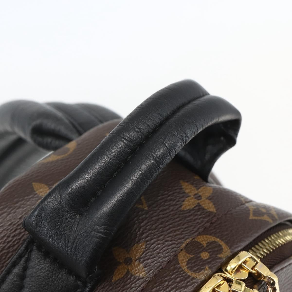 Louis Vuitton Palm Springs Backpack Monogram Canvas