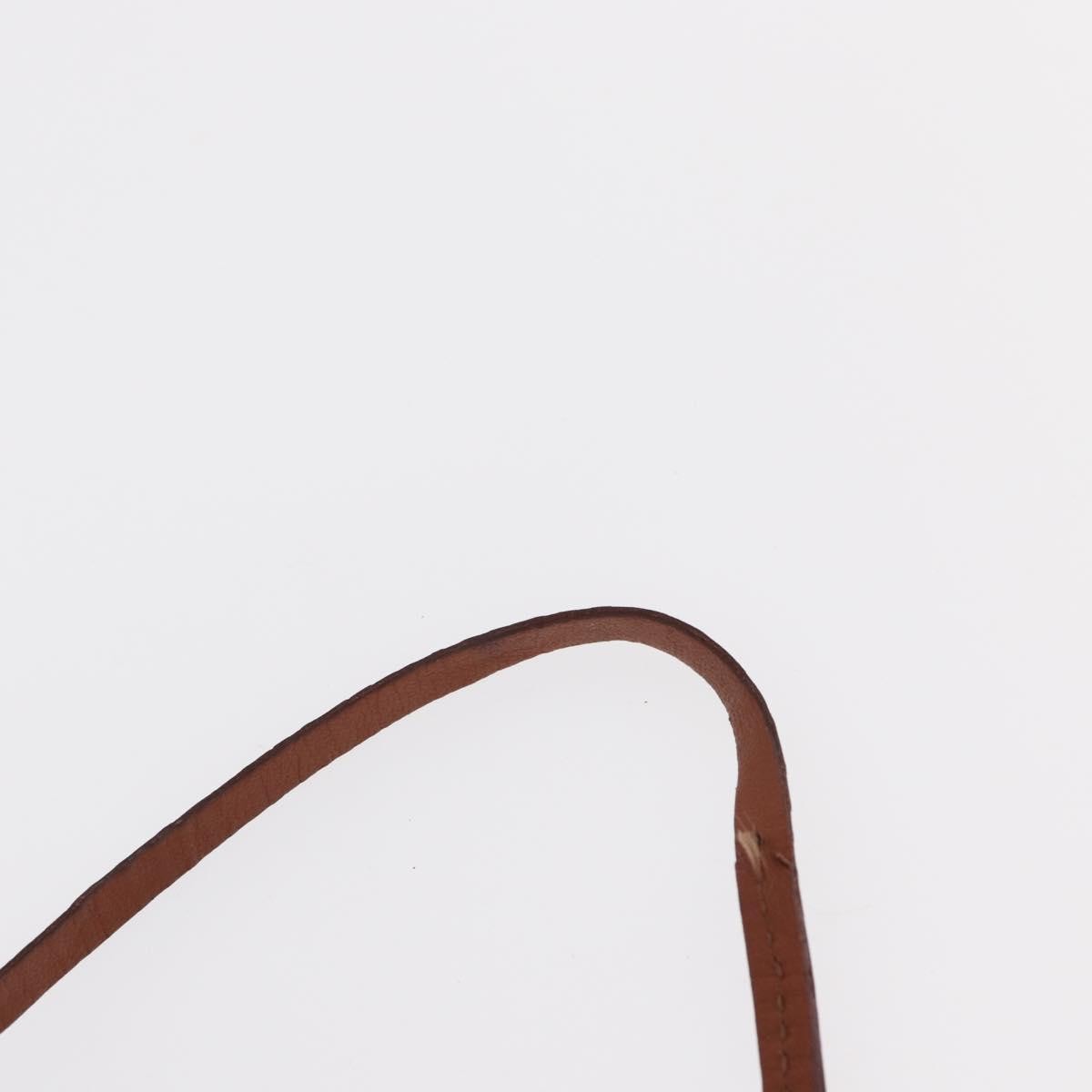 Louis Vuitton Papillon Pochette Monogram Canvas