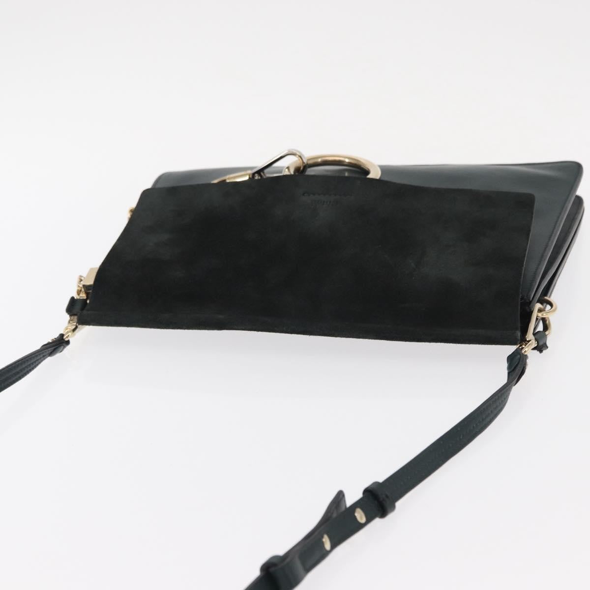 Chloe Faye Shoulder Bag Leather and Suede