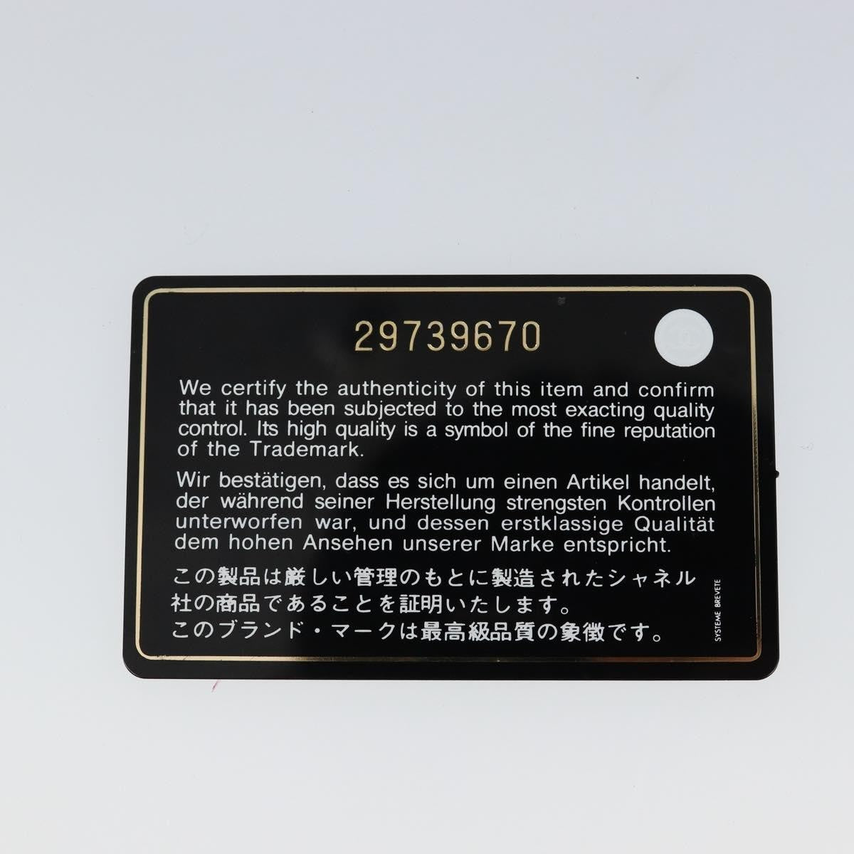 Chanel 19 Flap Wallet Quilted Lambskin