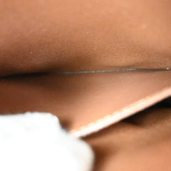 Louis Vuitton Amazone Bag Monogram Canvas