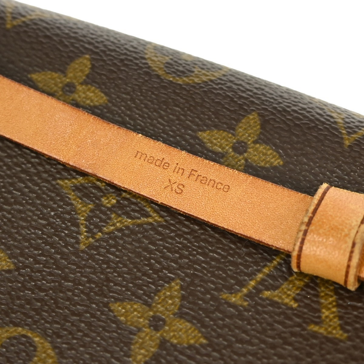 Louis Vuitton Florentine Pochette Monogram Canvas