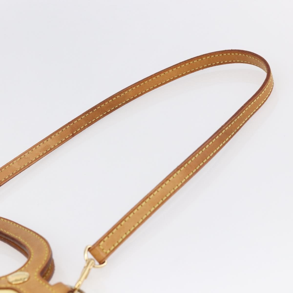 Louis Vuitton Roxbury Drive Handbag Monogram Vernis