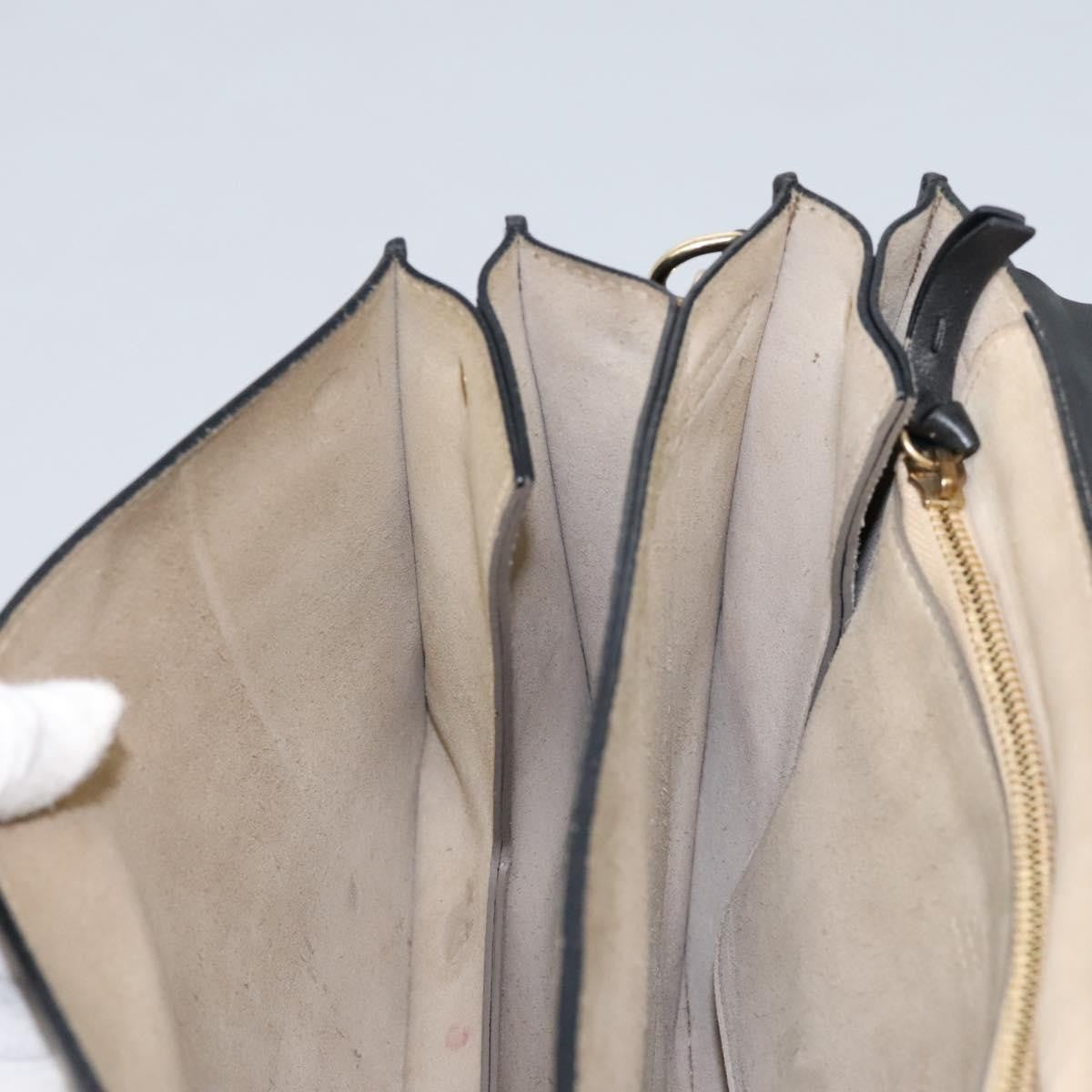 Chloe Faye Shoulder Bag Leather and Suede