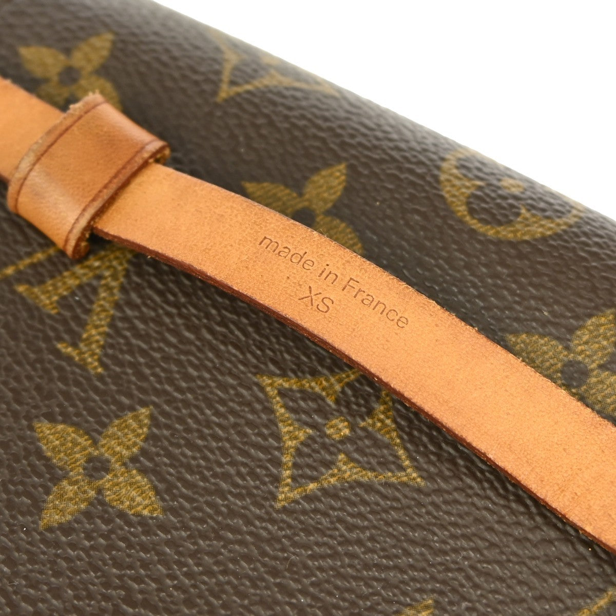 Louis Vuitton Florentine Waist Bag Monogram Canvas